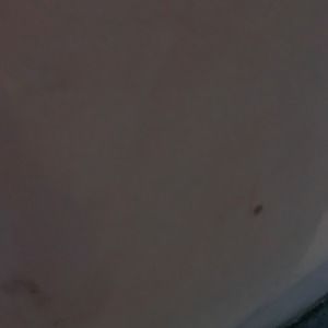 Meet your Posher, Ana